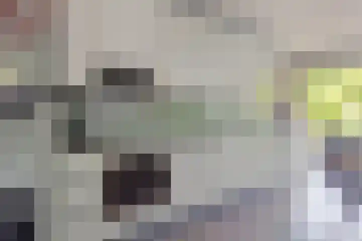 Boomkleverlaan 147 Zeewolde thumbnail 10