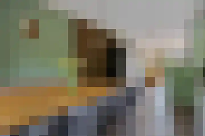Boomkleverlaan 147 Zeewolde thumbnail 11