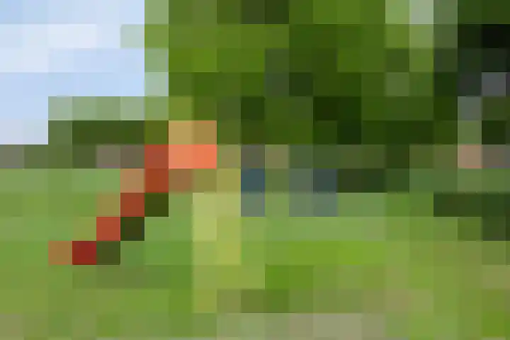 Boomkleverlaan 147 Zeewolde thumbnail 23