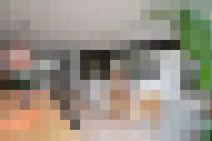Boomkleverlaan 20 Bussum thumbnail 10