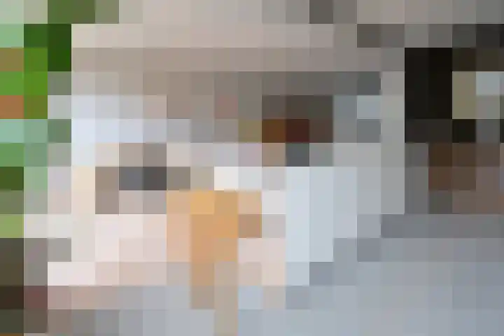 Boomkleverlaan 20 Bussum thumbnail 11