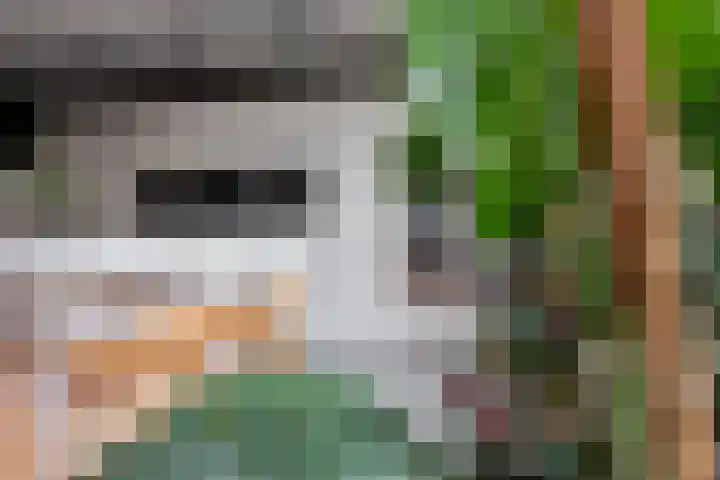Boomkleverlaan 20 Bussum thumbnail 12