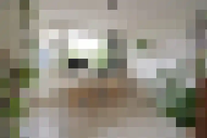 Boomkleverlaan 20 Bussum thumbnail 15