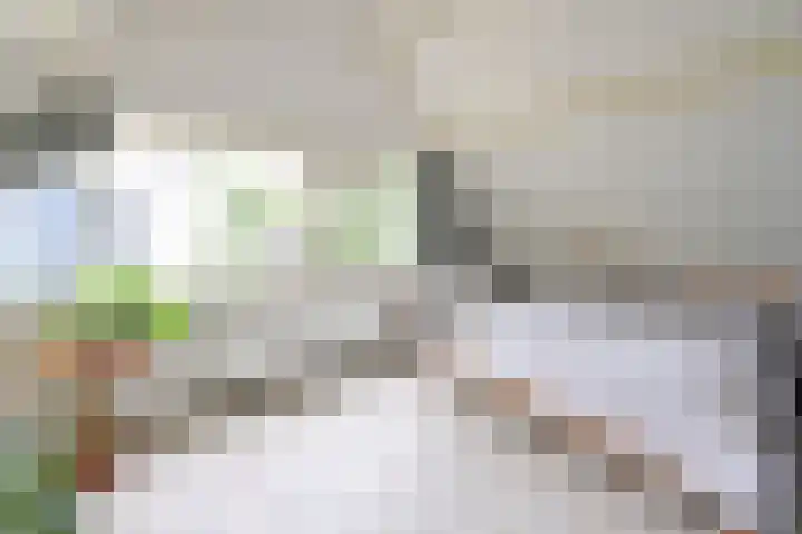 Boomkleverlaan 20 Bussum thumbnail 19