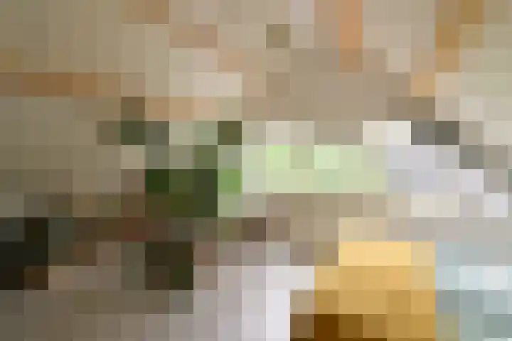 Boomkleverlaan 20 Bussum thumbnail 21