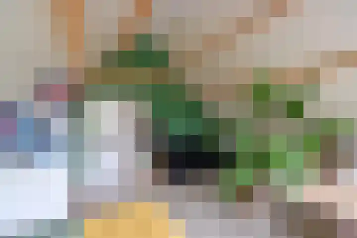 Boomkleverlaan 20 Bussum thumbnail 22