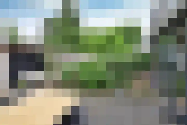Boomkleverlaan 20 Bussum thumbnail 25