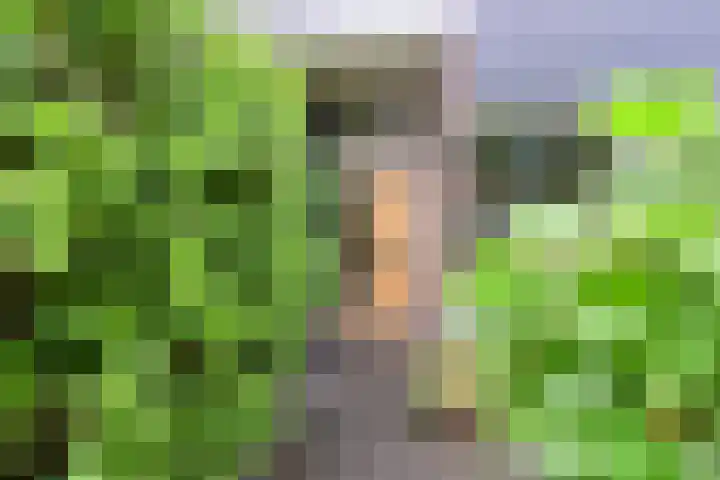 Boomkleverlaan 20 Bussum thumbnail 5