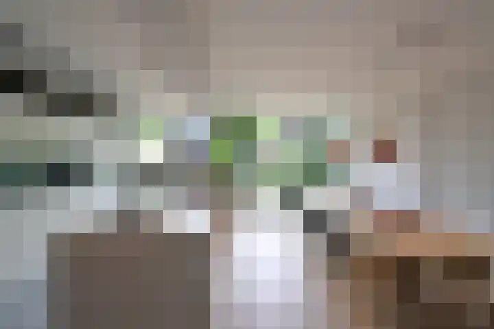 Boomkleverlaan 20 Bussum thumbnail 8