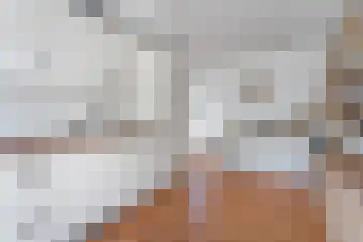 Boomkleverlaan 263 Zeewolde thumbnail 35