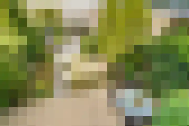 Boomkleverlaan 263 Zeewolde thumbnail 43