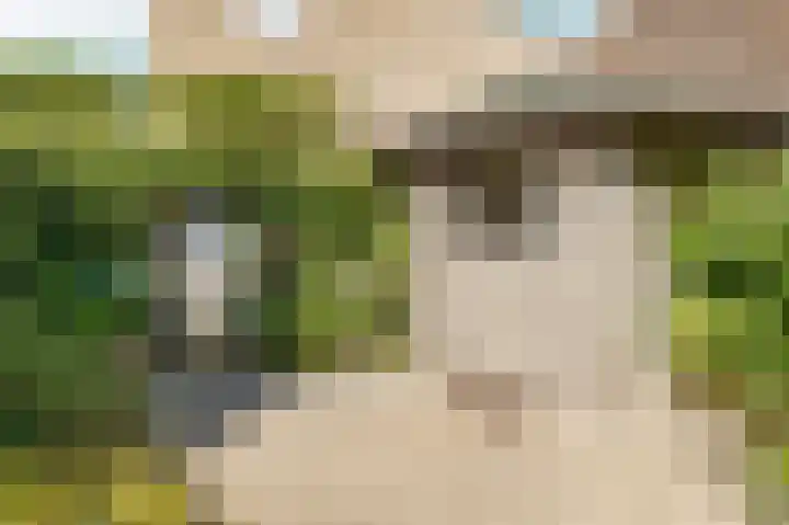 Boomkleverlaan 263 Zeewolde thumbnail 45