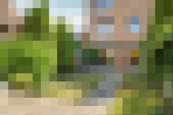 Boomkleverlaan 263 Zeewolde thumbnail 46