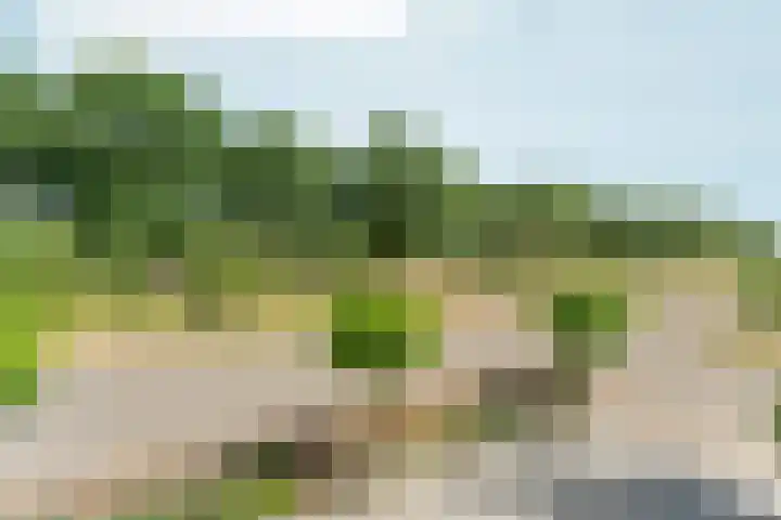 Boomkleverlaan 263 Zeewolde thumbnail 48