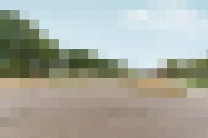 Boomkleverlaan 263 Zeewolde thumbnail 51