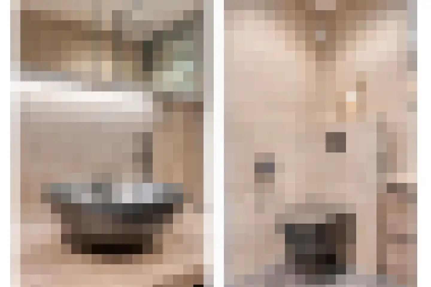 Boomkleverlaan 37 Zeewolde thumbnail 31