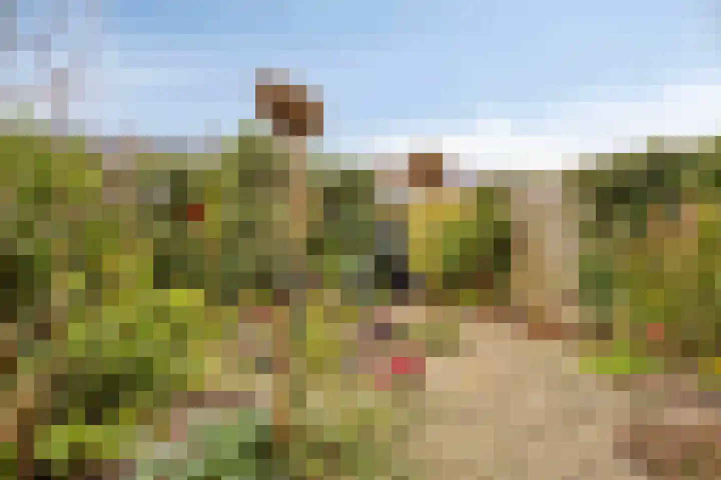 Boomkleverlaan 37 Zeewolde thumbnail 4