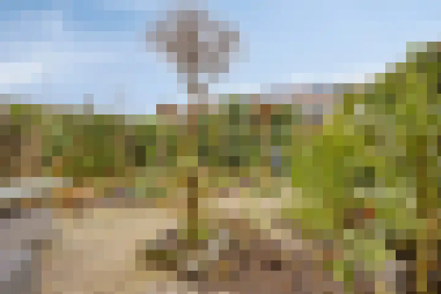 Boomkleverlaan 37 Zeewolde thumbnail 43