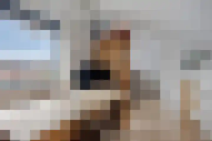 Boomkleverlaan 49 Zeewolde thumbnail 23