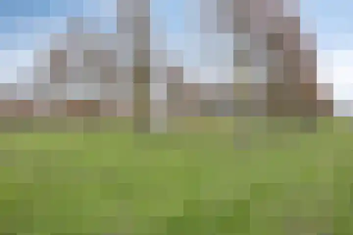 Boomkleverlaan 49 Zeewolde thumbnail 34