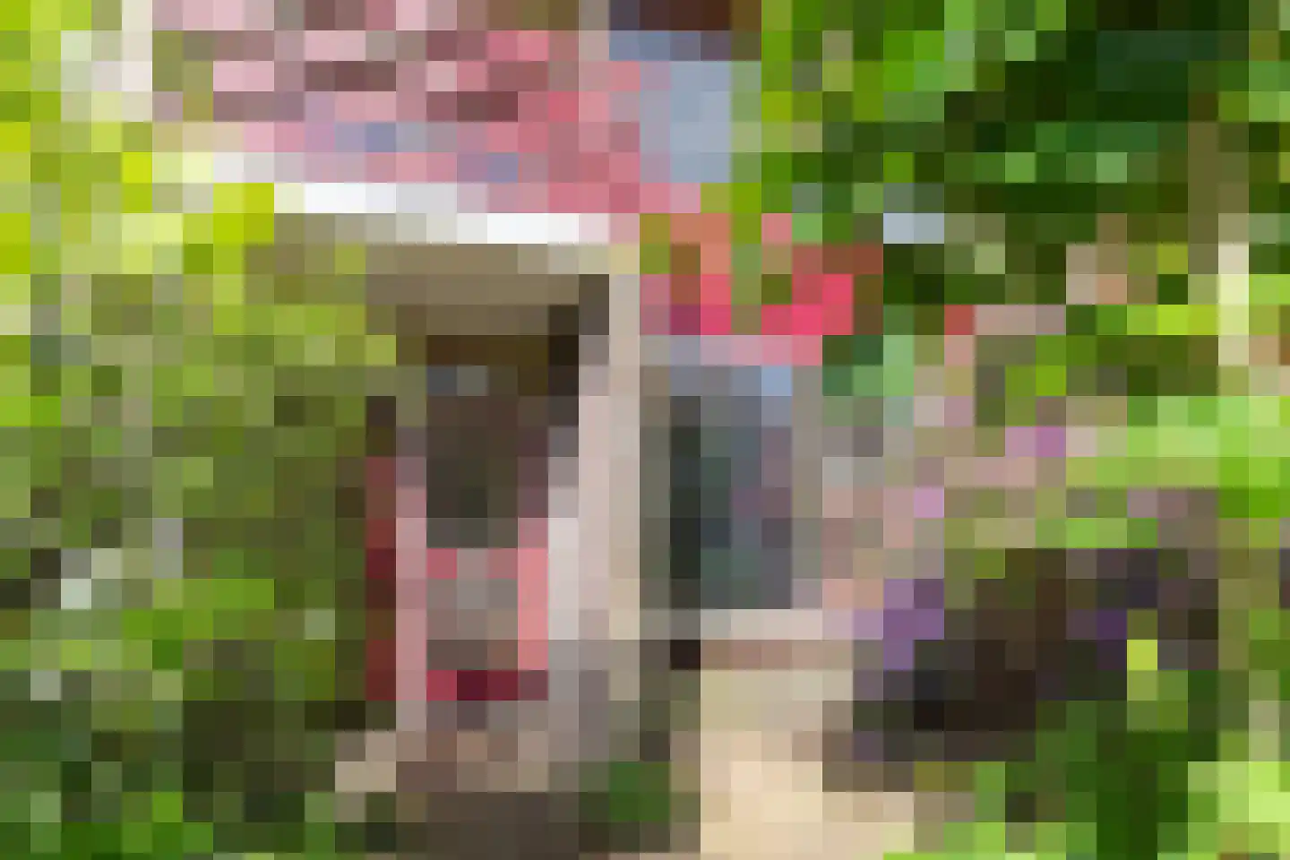 Boomkleverlaan 56 Bussum thumbnail 34