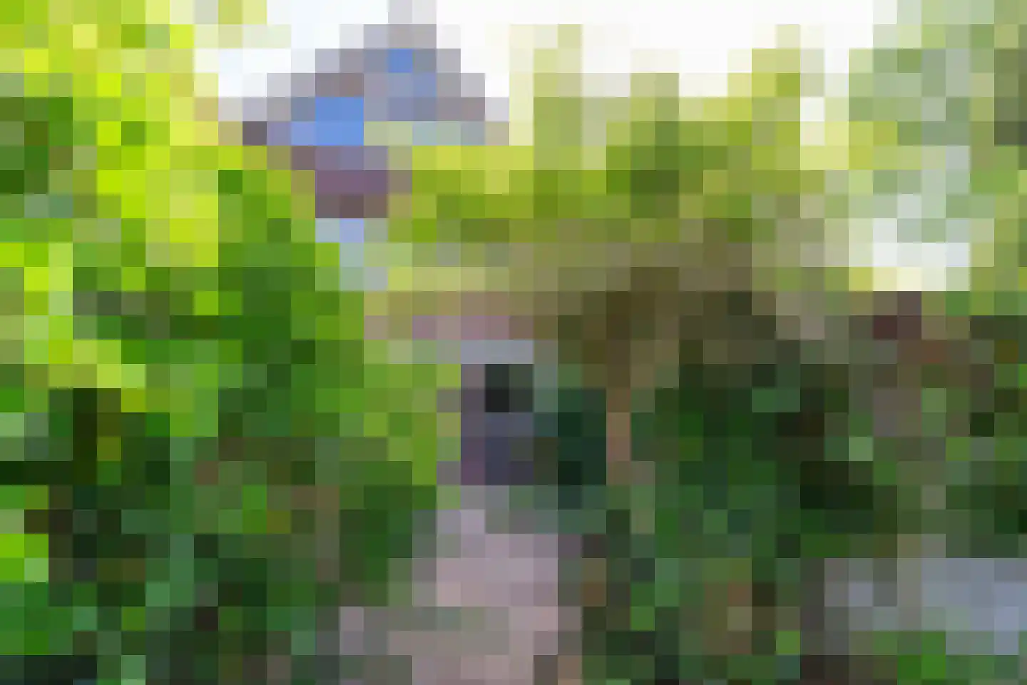 Boomkleverlaan 56 Bussum thumbnail 38