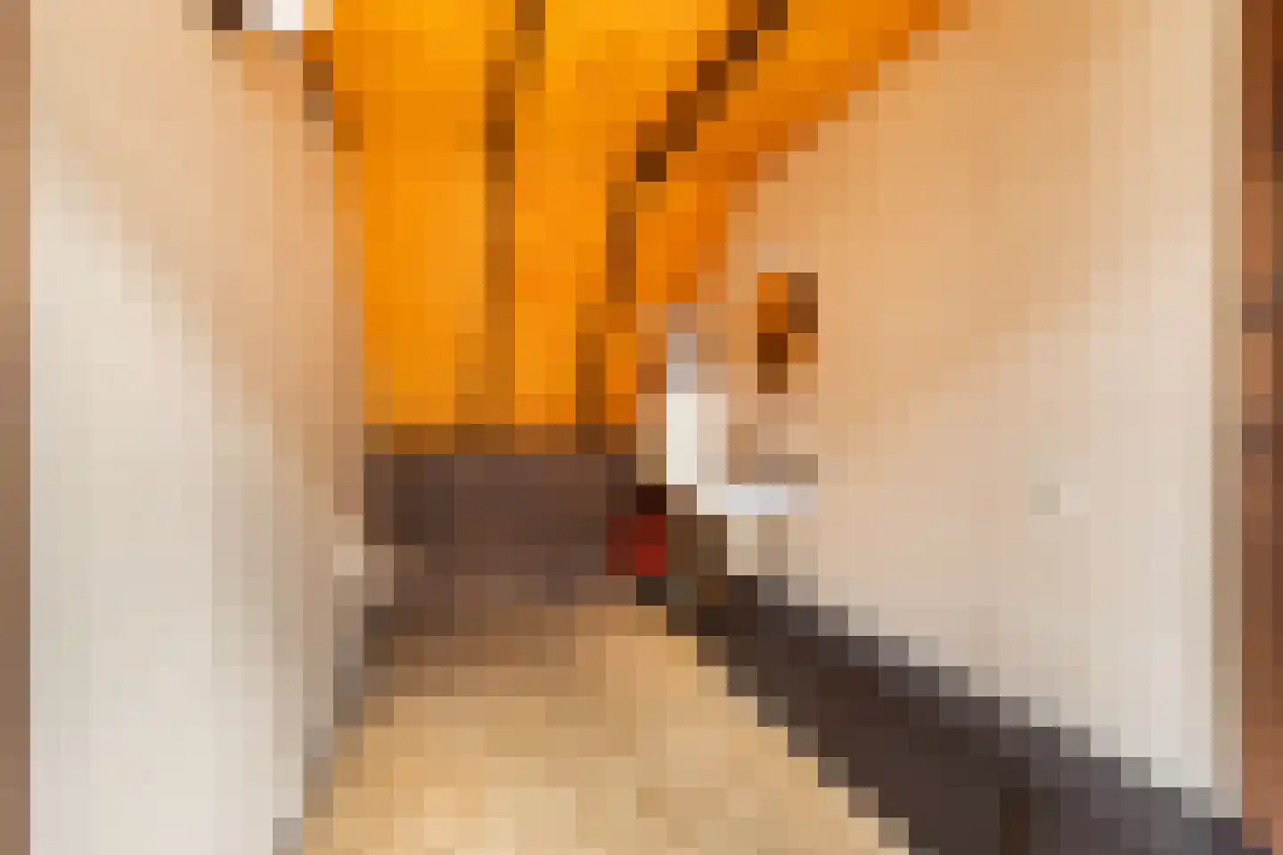Boomkleverlaan 6 Bussum thumbnail 23