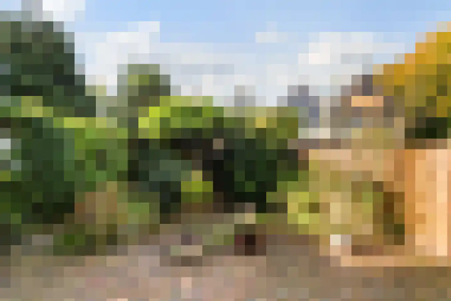 Boomkleverlaan 6 Bussum thumbnail 29
