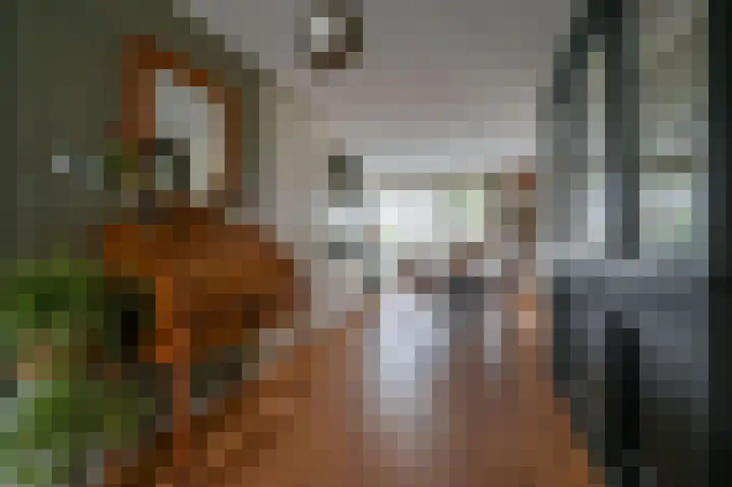 Boomkleverlaan 77 Zeewolde thumbnail 12