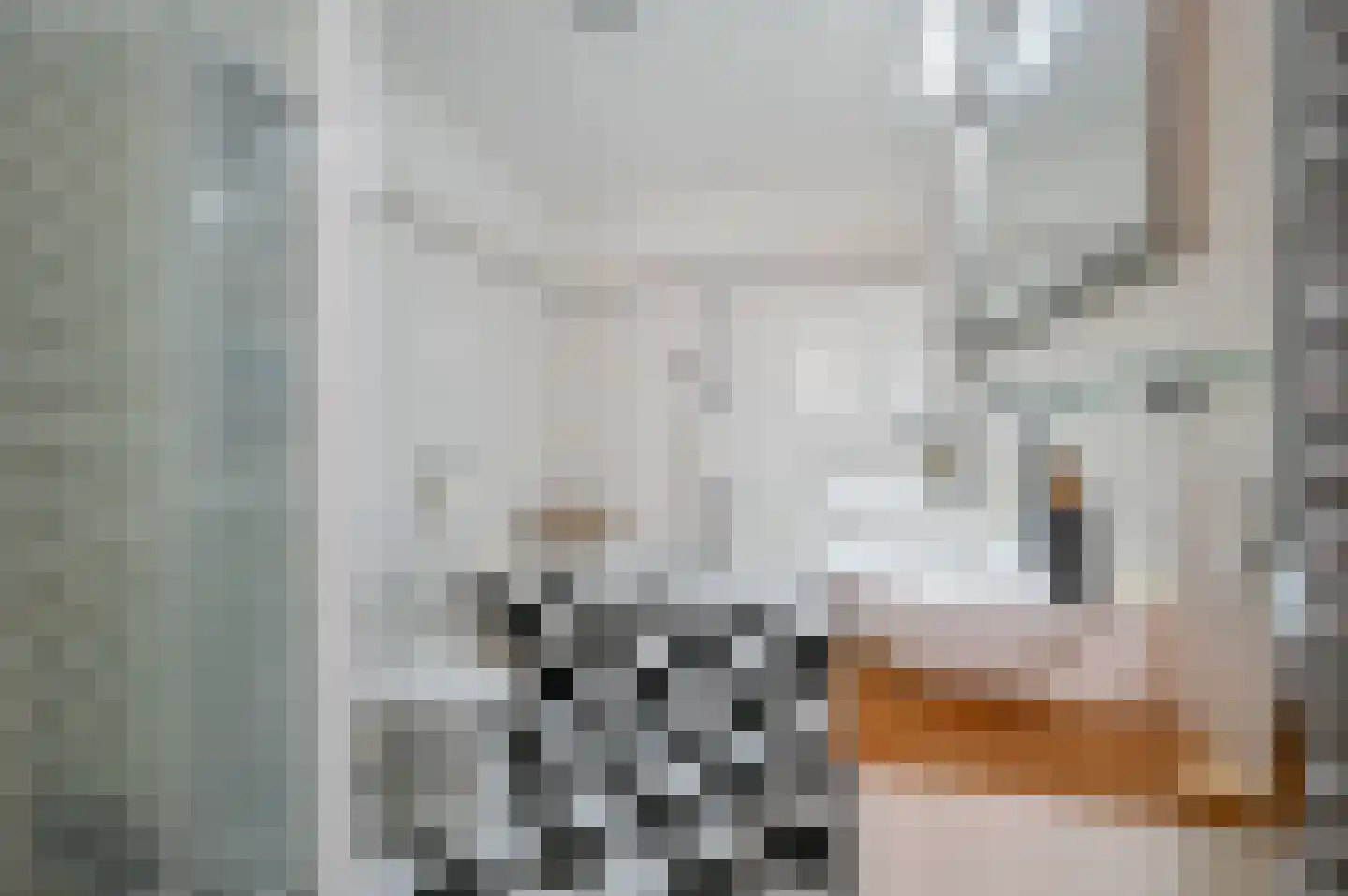 Boomkleverlaan 77 Zeewolde thumbnail 29