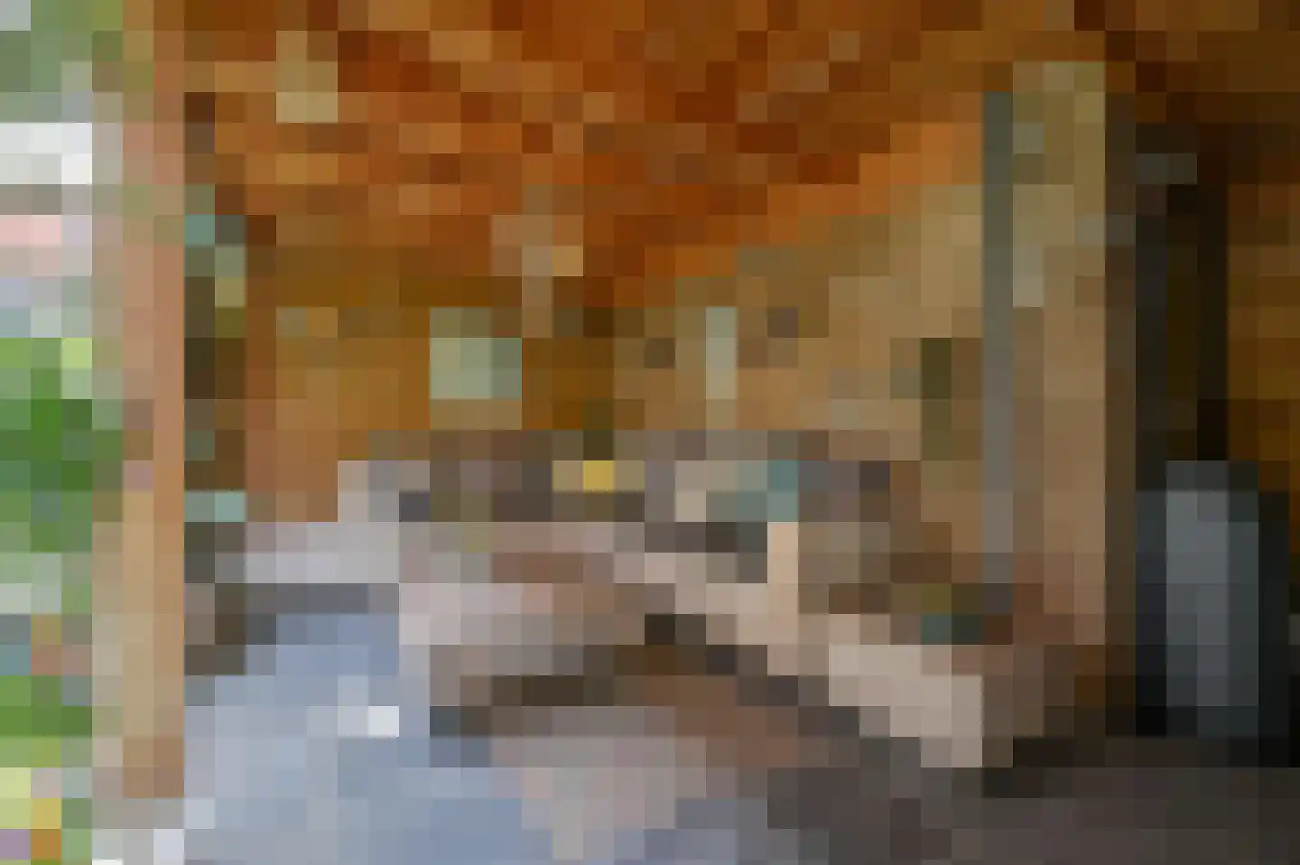 Boomkleverlaan 77 Zeewolde thumbnail 38