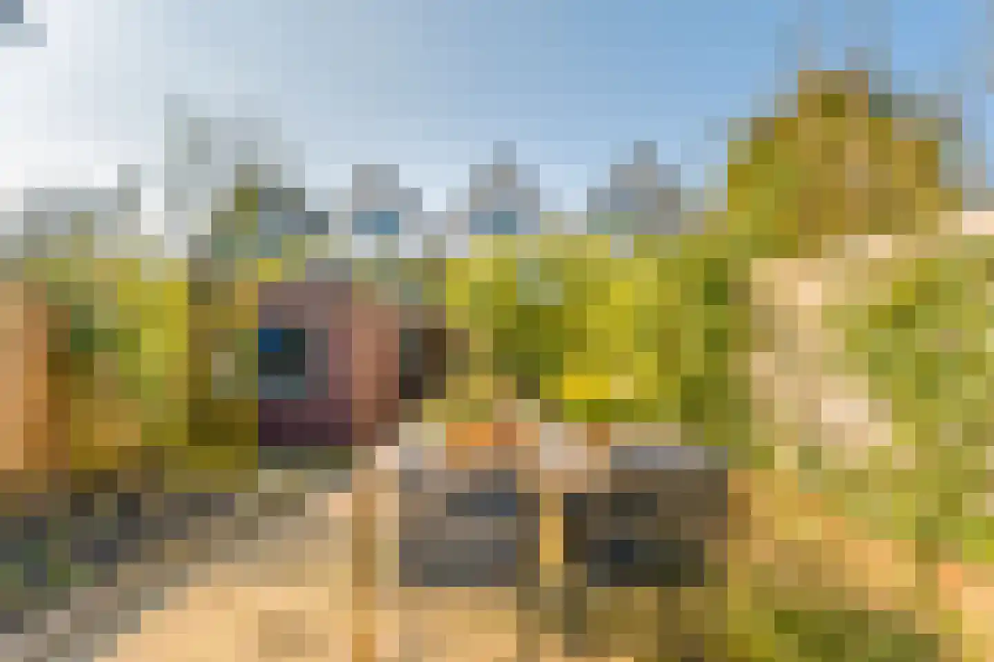 Boomkleverlaan 78 Bussum thumbnail 10
