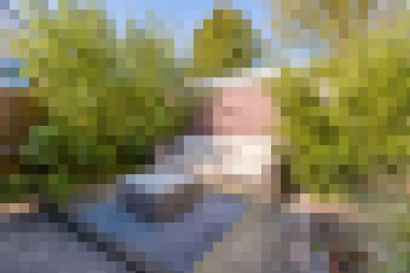 Boomkleverlaan 78 Bussum thumbnail 14