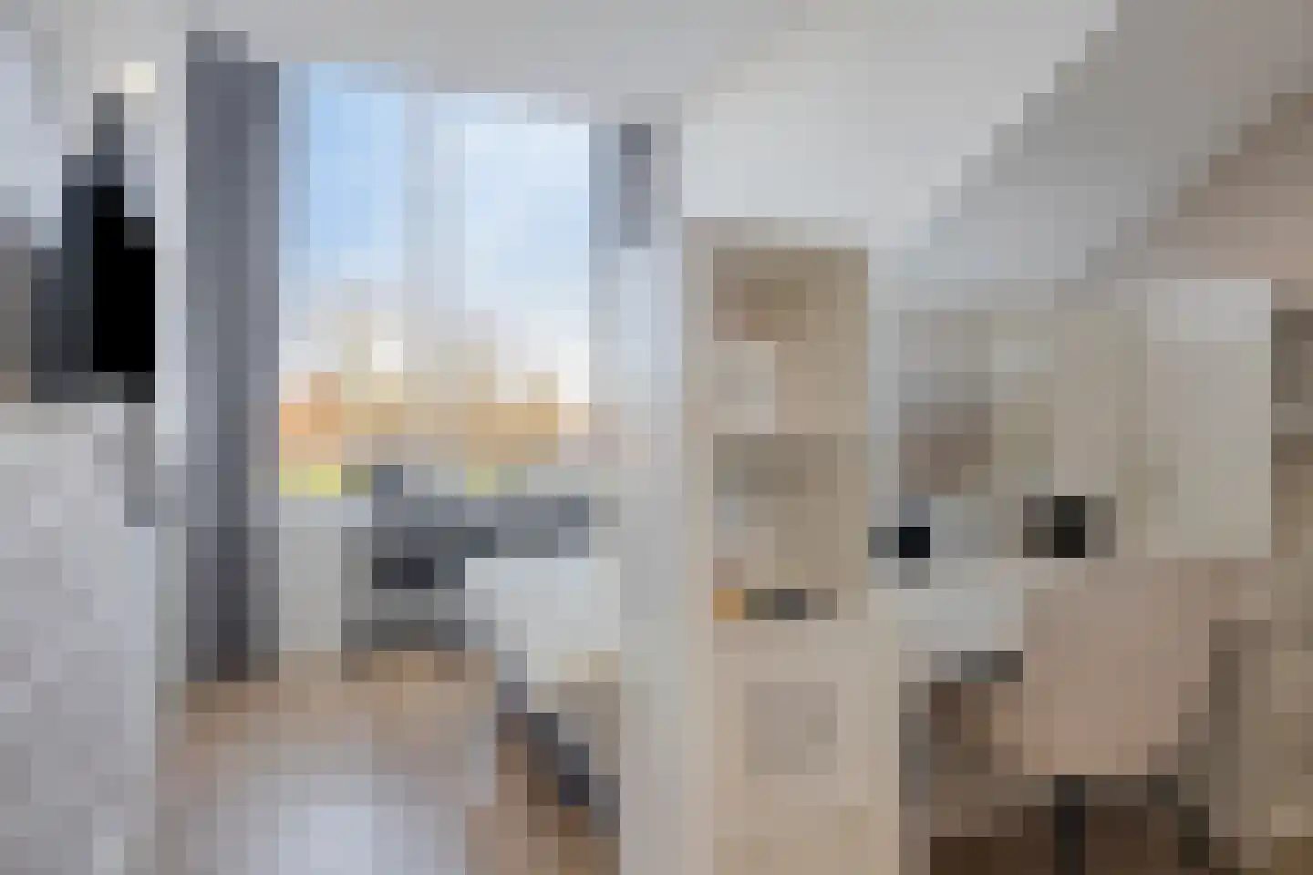 Boomkleverlaan 81 Zeewolde thumbnail 28