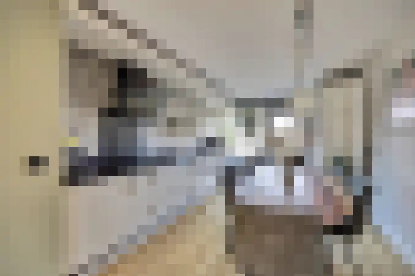 Boomkleverlaan 87 Zeewolde thumbnail 12
