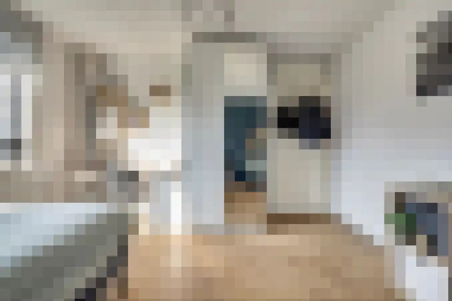 Boomkleverlaan 87 Zeewolde thumbnail 23
