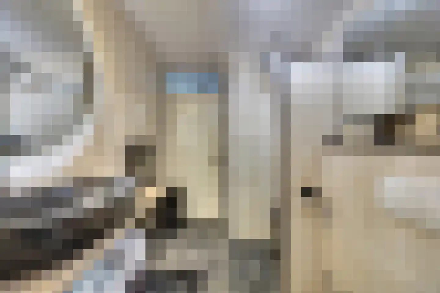 Boomkleverlaan 87 Zeewolde thumbnail 26
