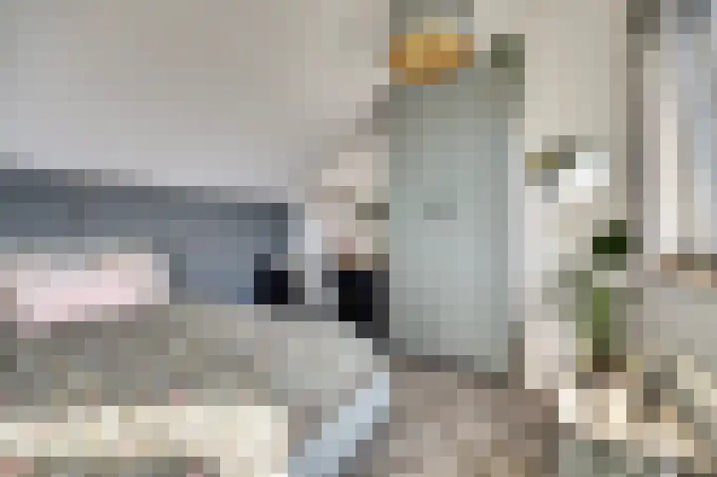 Boomkleverlaan 87 Zeewolde thumbnail 31