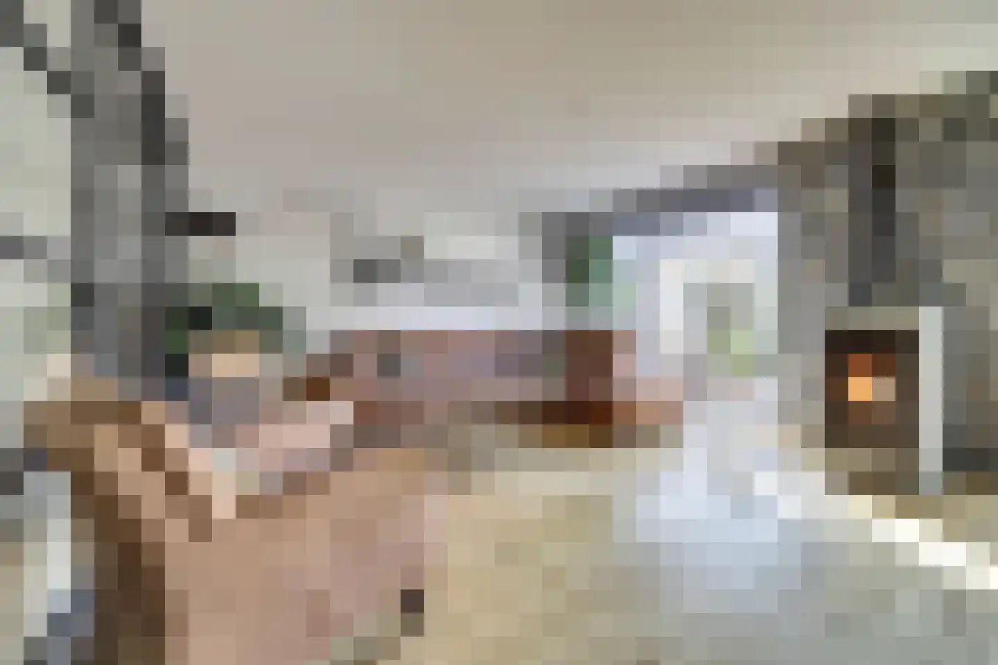 Boomkleverlaan 87 Zeewolde thumbnail 6