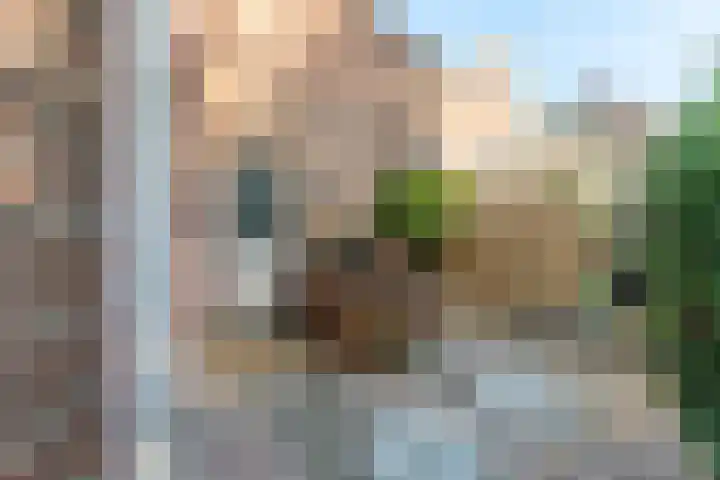 Boomkleverstraat 16 Delft thumbnail 15