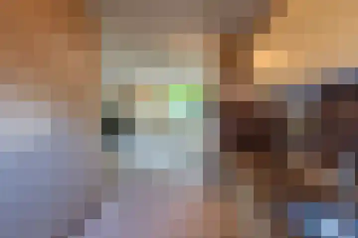 Boomkleverstraat 16 Delft thumbnail 8