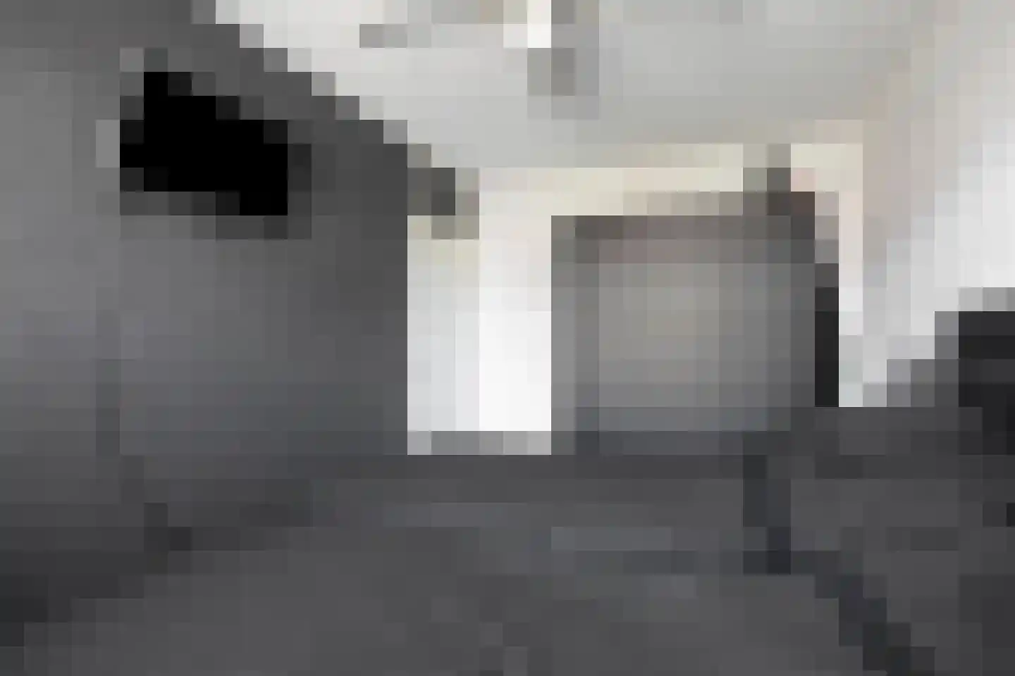 Boomkleverstraat 3 Rotterdam thumbnail 14