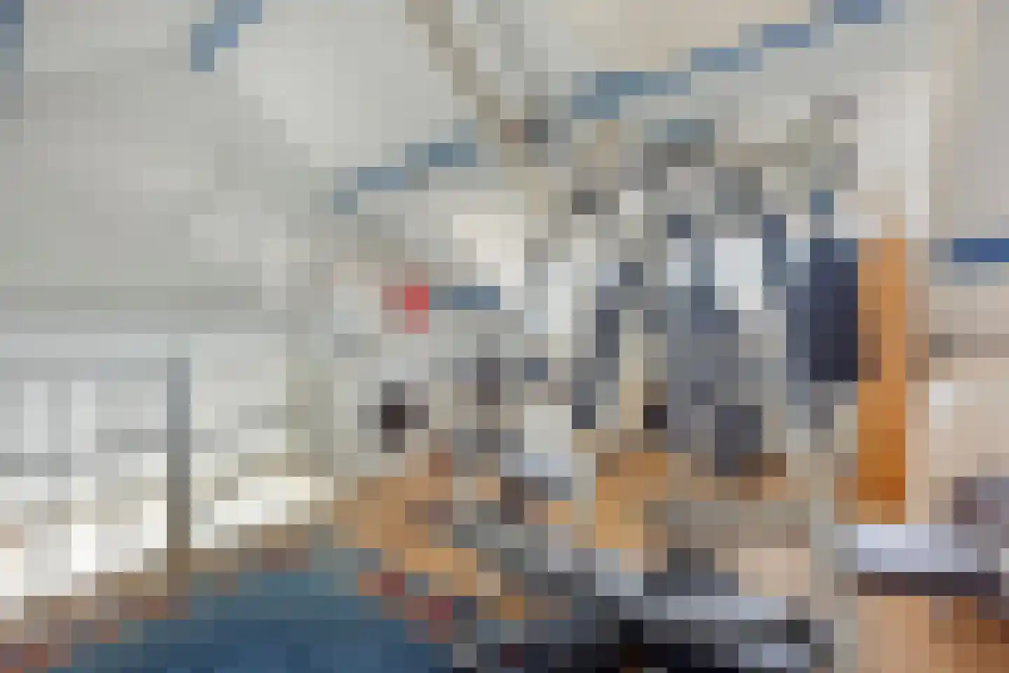 Boomkleverstraat 3 Rotterdam thumbnail 23