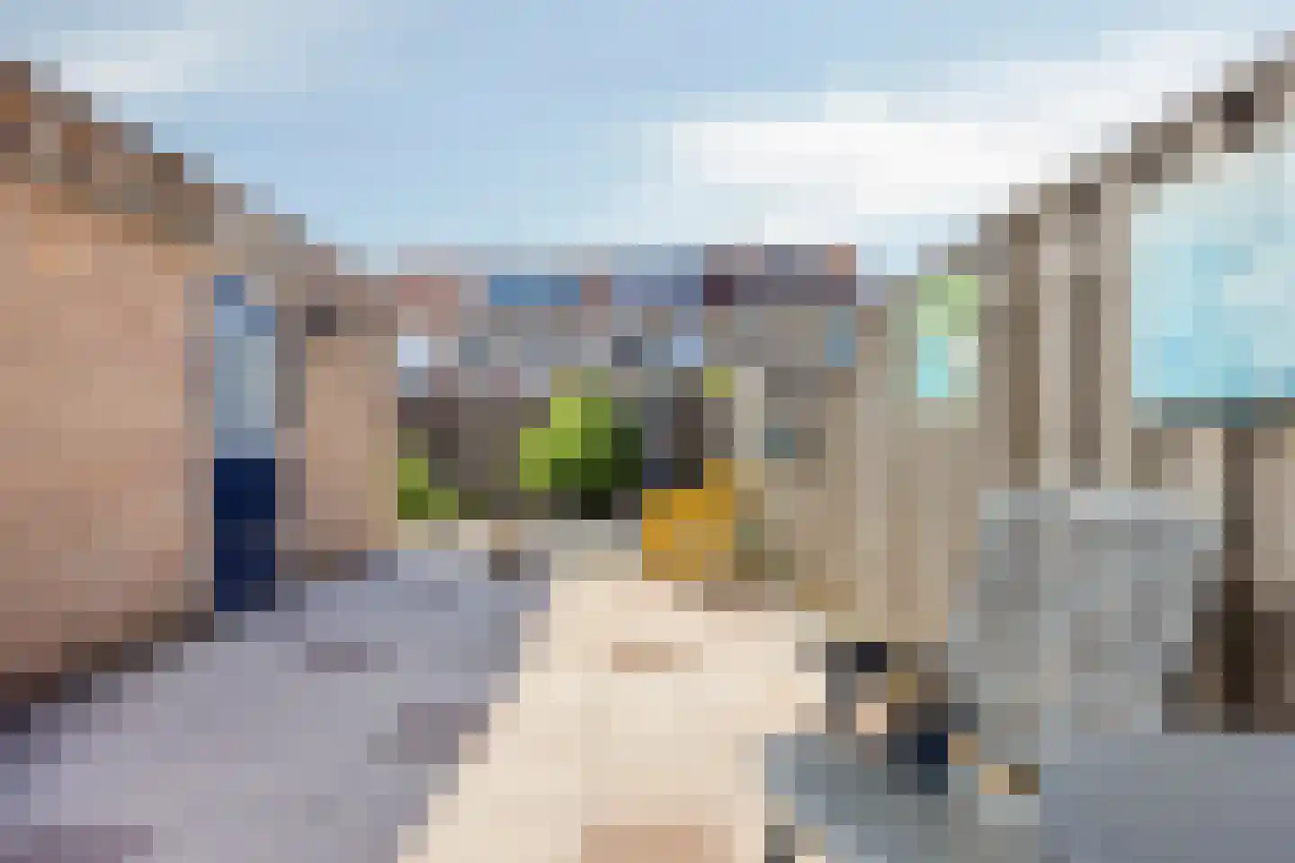 Boomkleverstraat 3 Rotterdam thumbnail 25
