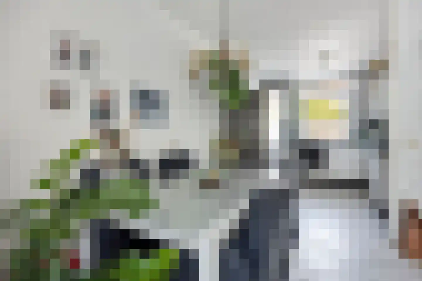 Boomkleverstraat 3 Rotterdam thumbnail 7