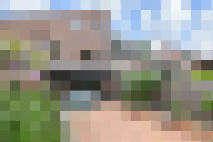 Boomkleverstraat 4 Delft thumbnail 23