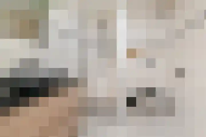 Boomkleverstraat 4 Delft thumbnail 34