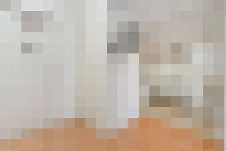 Boomkleverstraat 4 Delft thumbnail 37