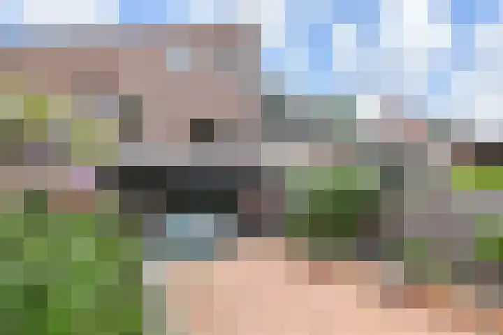 Boomkleverstraat 4 Delft thumbnail 5