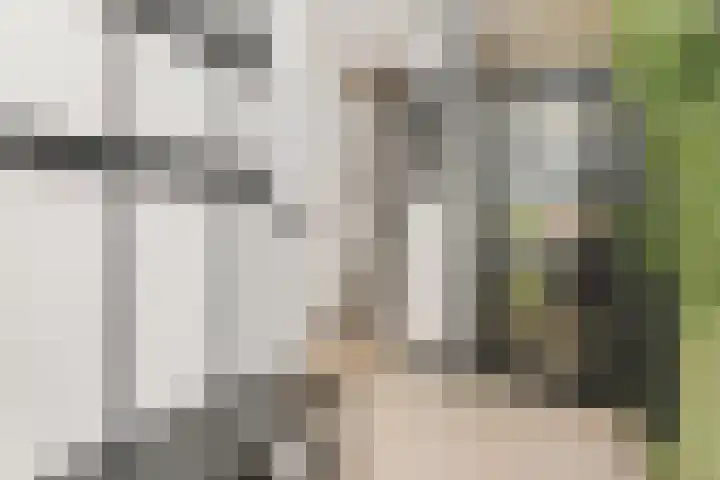 Boomkleverstraat 4 Delft thumbnail 7